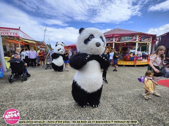 Parade pandas 12 