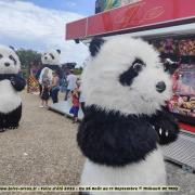 Parade pandas 2 