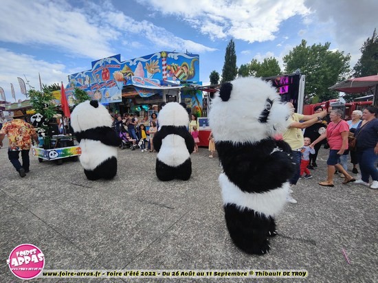Parade pandas 23 