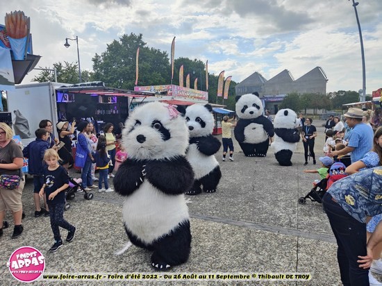 Parade pandas 26 