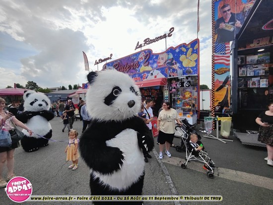 Parade pandas 32 