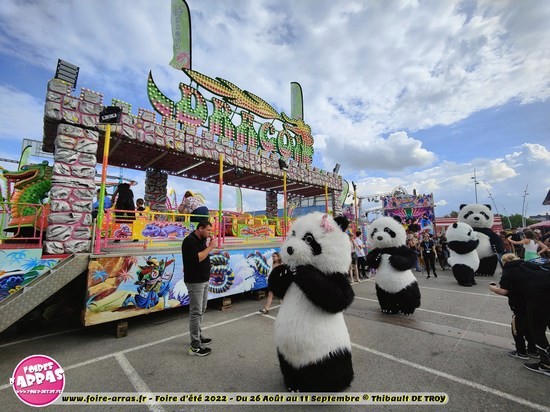 Parade pandas 35 