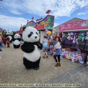 Parade pandas 4 