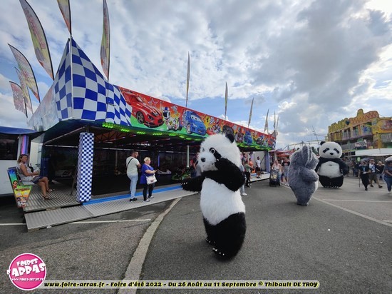 Parade pandas 41 