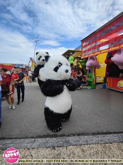 Parade pandas 6 