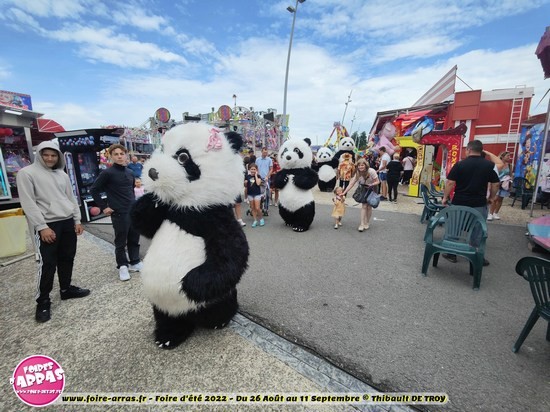 Parade pandas 7 