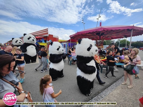 Parade pandas 9 